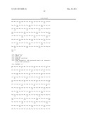 SITE SPECIFIC INCORPORATION OF KETO AMINO ACIDS INTO PROTEINS diagram and image