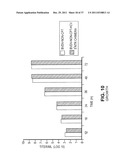 CHIMERIC PESTIVIRUS WITH INSERTION IN 3  NONTRANSLATED REGION (3  NTR)     WITH STABLE REPLICATION AND RNASE RESISTANCE diagram and image