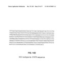 CHIMERIC PESTIVIRUS WITH INSERTION IN 3  NONTRANSLATED REGION (3  NTR)     WITH STABLE REPLICATION AND RNASE RESISTANCE diagram and image