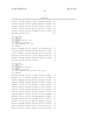 CHIMERIC PESTIVIRUS WITH INSERTION IN 3  NONTRANSLATED REGION (3  NTR)     WITH STABLE REPLICATION AND RNASE RESISTANCE diagram and image