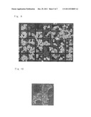 CELL CULTURE CONTAINER AND CELL CULTURE METHOD diagram and image