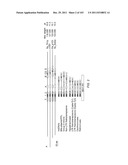 Human Telomerase Catalytic Subunit diagram and image