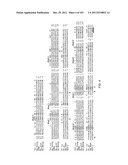 Human Telomerase Catalytic Subunit diagram and image