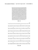 Human Telomerase Catalytic Subunit diagram and image