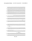 Human Telomerase Catalytic Subunit diagram and image