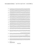 Human Telomerase Catalytic Subunit diagram and image