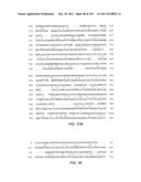 Human Telomerase Catalytic Subunit diagram and image