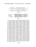 Human Telomerase Catalytic Subunit diagram and image