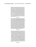 Human Telomerase Catalytic Subunit diagram and image