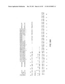 Human Telomerase Catalytic Subunit diagram and image