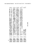 Human Telomerase Catalytic Subunit diagram and image