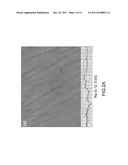 Implant Surface Treatment Method Having Tissues Integrated diagram and image