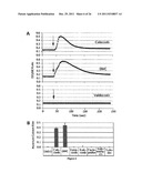 METHODS AND COMPOSITIONS FOR INDUCING APOPTOSIS BY STIMULATING ER STRESS diagram and image