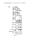 METHODS AND COMPOSITIONS FOR INDUCING APOPTOSIS BY STIMULATING ER STRESS diagram and image