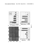 METHODS AND COMPOSITIONS FOR INDUCING APOPTOSIS BY STIMULATING ER STRESS diagram and image