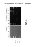 Aptamer and detection method for C-reactive protein diagram and image