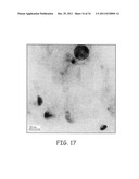 SILICON/GERMANIUM NANOPARTICLE INKS, LASER PYROLYSIS REACTORS FOR THE     SYNTHESIS OF NANOPARTICLES AND ASSOCIATED METHODS diagram and image