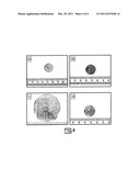 SUPERCONDUCTOR FABRICATION diagram and image