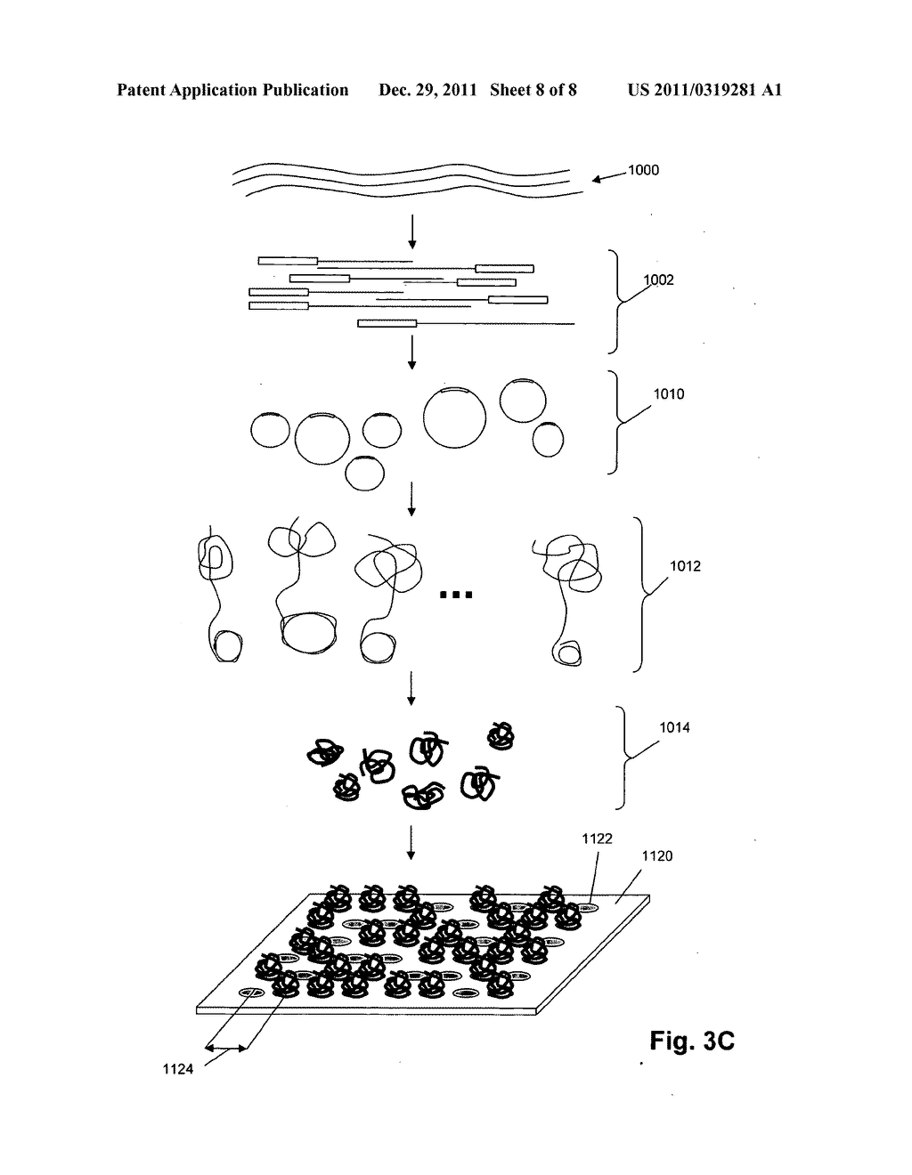 Nucleic Acid Analysis by Random Mixtures of Non-Overlapping Fragments - diagram, schematic, and image 09