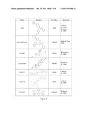 SYSTEM FOR SCREENING AGONISTS/ANTAGONISTS OF CELLULAR SIGNALING PATHWAYS diagram and image