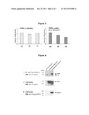 BANK1 RELATED SNPS AND SLE AND/OR MS SUSCEPTIBILITY diagram and image