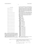 TEMPLATE FIXED BETA-HAIRPIN LOOP MIMETICS AND THEIR USE IN PHAGE DISPLAY diagram and image