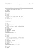 TEMPLATE FIXED BETA-HAIRPIN LOOP MIMETICS AND THEIR USE IN PHAGE DISPLAY diagram and image