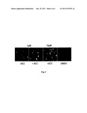 SYNTHETIC PROTEASE SUBSTRATES, ASSAY METHODS USING SUCH SUBSTRATES AND     KITS FOR PRACTICING THE ASSAY diagram and image