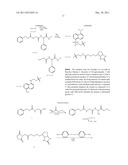 SYNTHETIC PROTEASE SUBSTRATES, ASSAY METHODS USING SUCH SUBSTRATES AND     KITS FOR PRACTICING THE ASSAY diagram and image