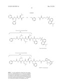 SYNTHETIC PROTEASE SUBSTRATES, ASSAY METHODS USING SUCH SUBSTRATES AND     KITS FOR PRACTICING THE ASSAY diagram and image