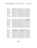 Dominant Negative WNT2 Compositions and Methods of Use diagram and image