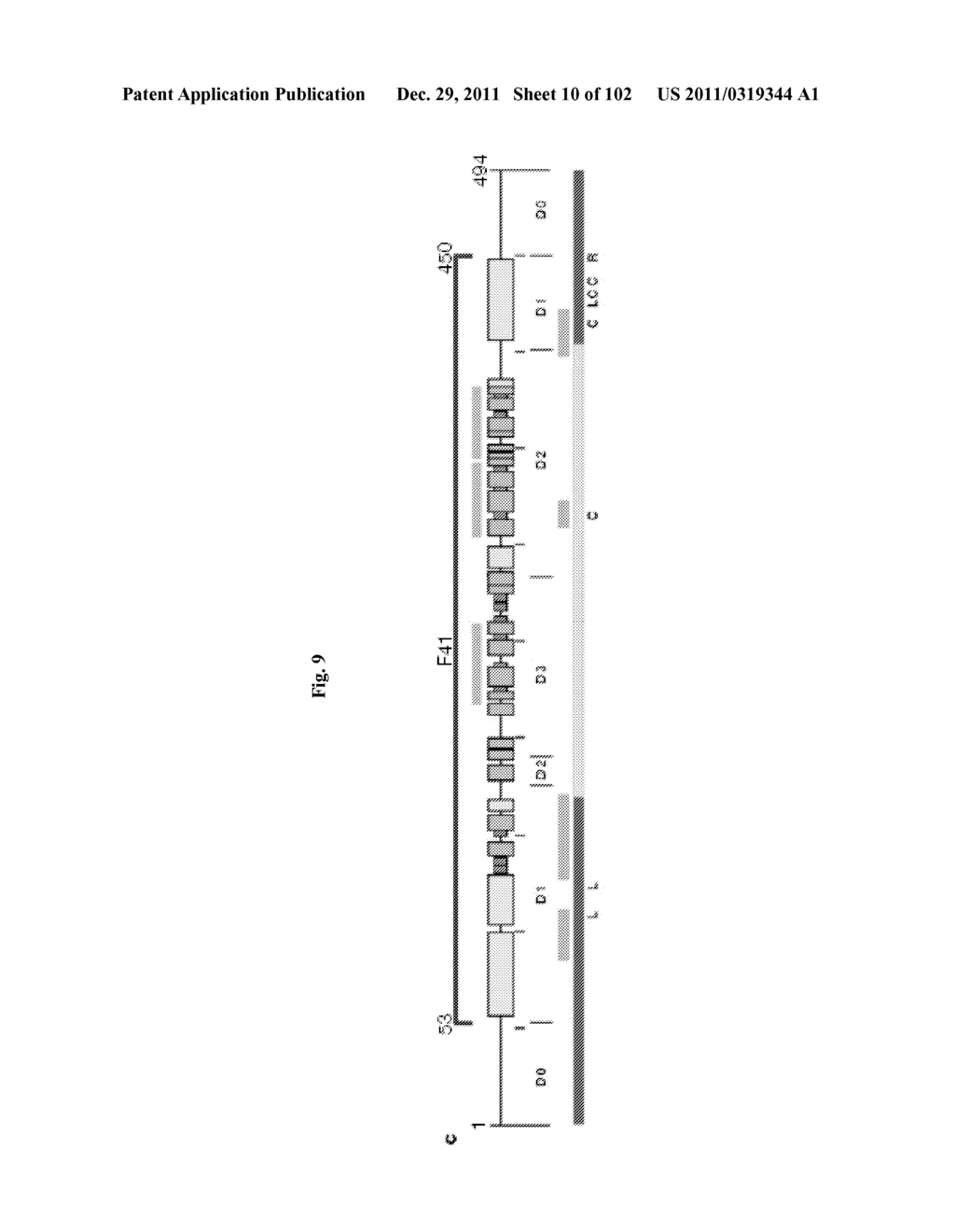 FLAGELLIN RELATED POLYPEPTIDES AND USES THEREOF - diagram, schematic, and image 11