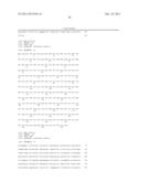 FLAGELLIN RELATED POLYPEPTIDES AND USES THEREOF diagram and image