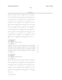 FLAGELLIN RELATED POLYPEPTIDES AND USES THEREOF diagram and image