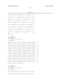 FLAGELLIN RELATED POLYPEPTIDES AND USES THEREOF diagram and image