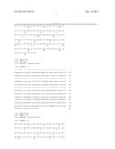 FLAGELLIN RELATED POLYPEPTIDES AND USES THEREOF diagram and image