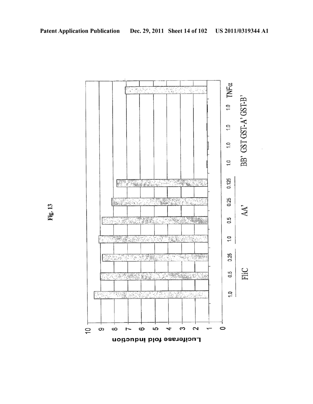 FLAGELLIN RELATED POLYPEPTIDES AND USES THEREOF - diagram, schematic, and image 15