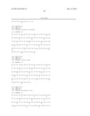 FLAGELLIN RELATED POLYPEPTIDES AND USES THEREOF diagram and image