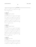 FLAGELLIN RELATED POLYPEPTIDES AND USES THEREOF diagram and image