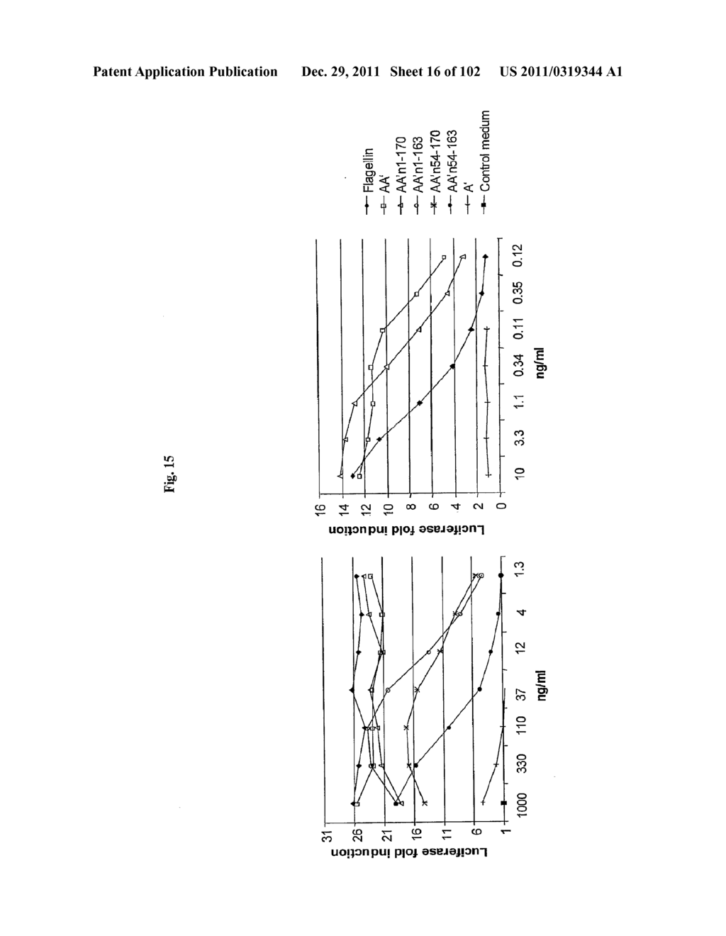 FLAGELLIN RELATED POLYPEPTIDES AND USES THEREOF - diagram, schematic, and image 17