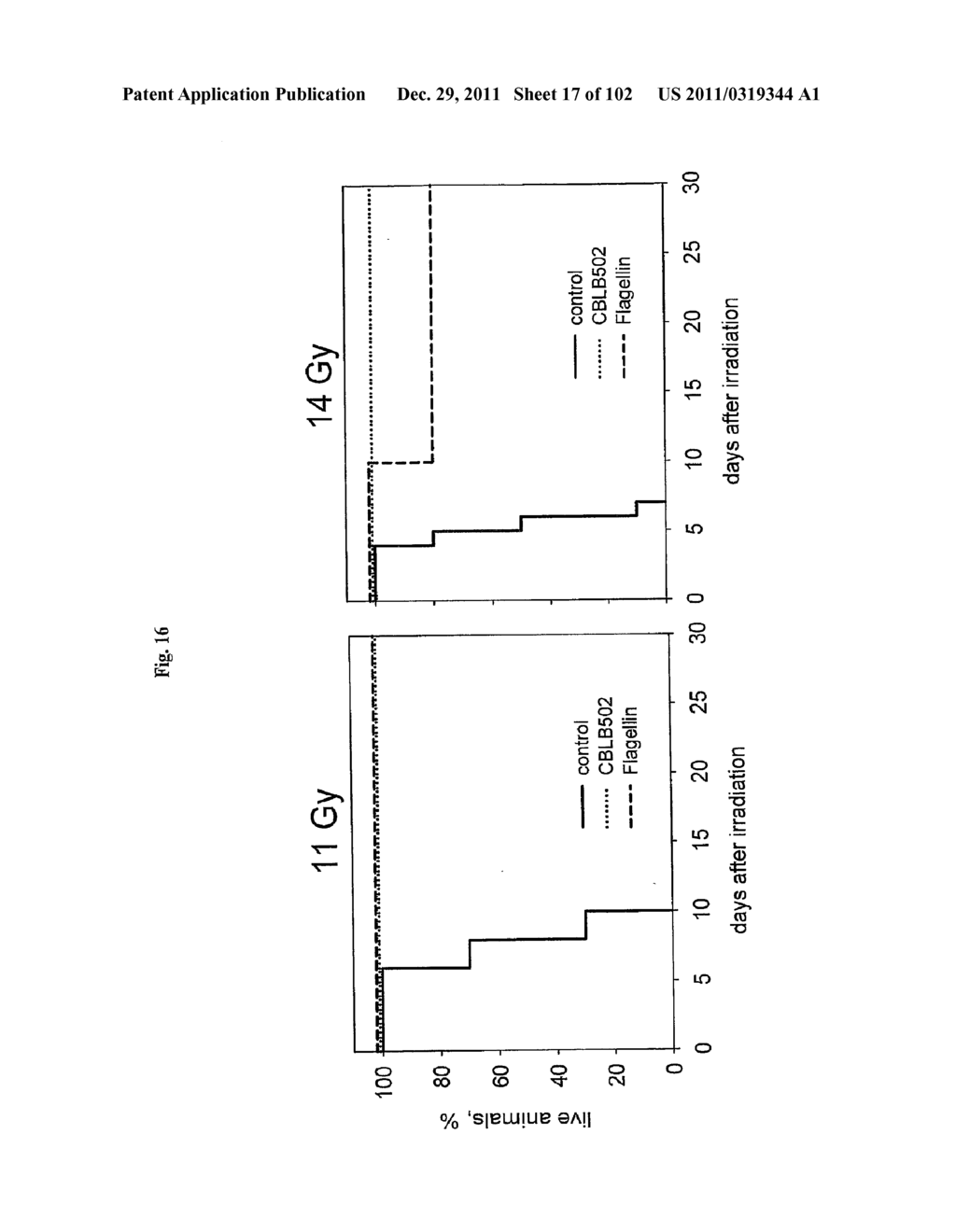 FLAGELLIN RELATED POLYPEPTIDES AND USES THEREOF - diagram, schematic, and image 18