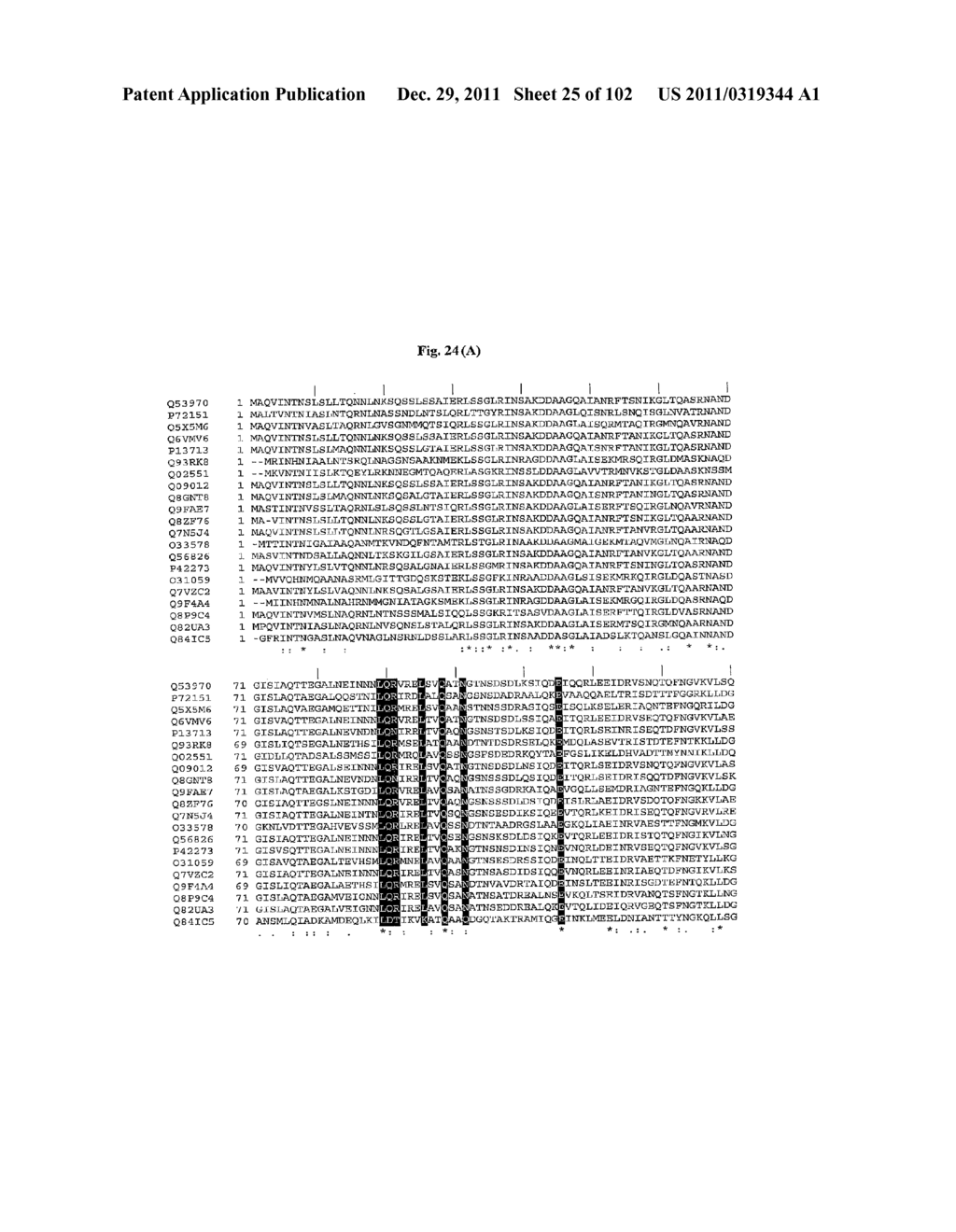 FLAGELLIN RELATED POLYPEPTIDES AND USES THEREOF - diagram, schematic, and image 26