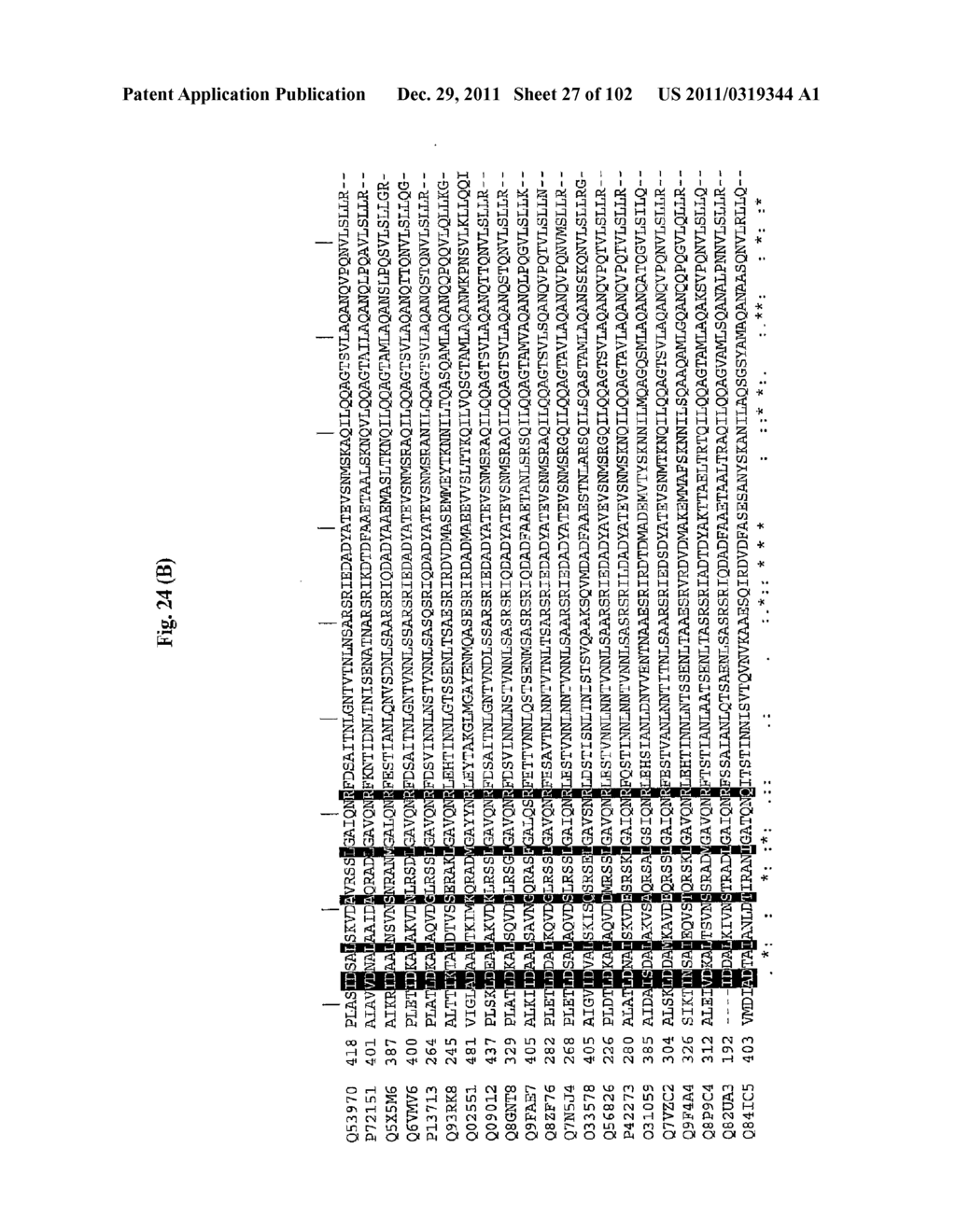 FLAGELLIN RELATED POLYPEPTIDES AND USES THEREOF - diagram, schematic, and image 28