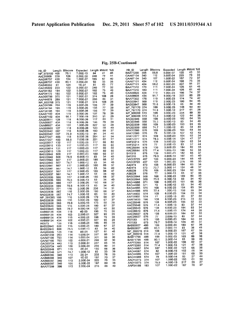 FLAGELLIN RELATED POLYPEPTIDES AND USES THEREOF - diagram, schematic, and image 58