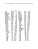 FLAGELLIN RELATED POLYPEPTIDES AND USES THEREOF diagram and image