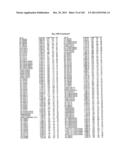 FLAGELLIN RELATED POLYPEPTIDES AND USES THEREOF diagram and image