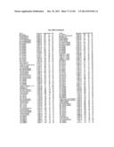 FLAGELLIN RELATED POLYPEPTIDES AND USES THEREOF diagram and image