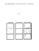 FLAGELLIN RELATED POLYPEPTIDES AND USES THEREOF diagram and image