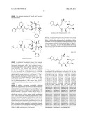 Combination Therapy for Treatment of Cancer diagram and image