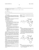 Combination Therapy for Treatment of Cancer diagram and image